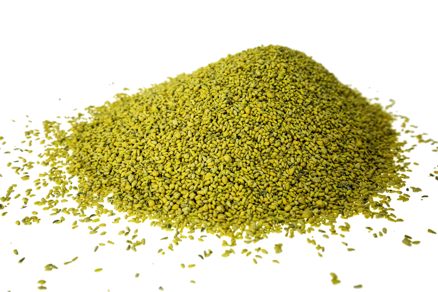 Champion Chicory — Deer Food Plot Seed