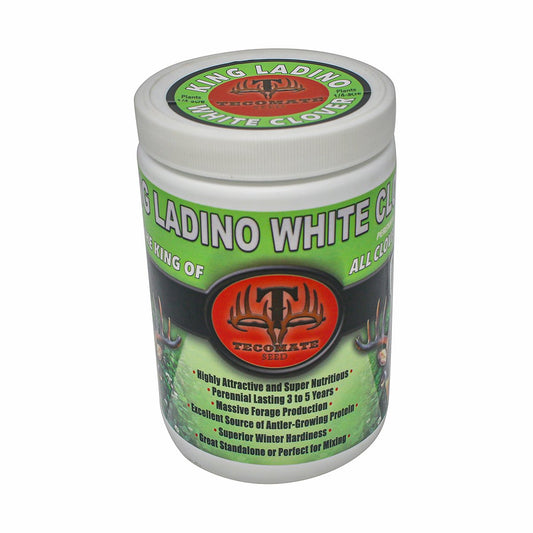 King Ladino White Clover — Deer & Turkey Food Plot Seed