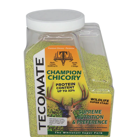 Champion Chicory — Deer Food Plot Seed