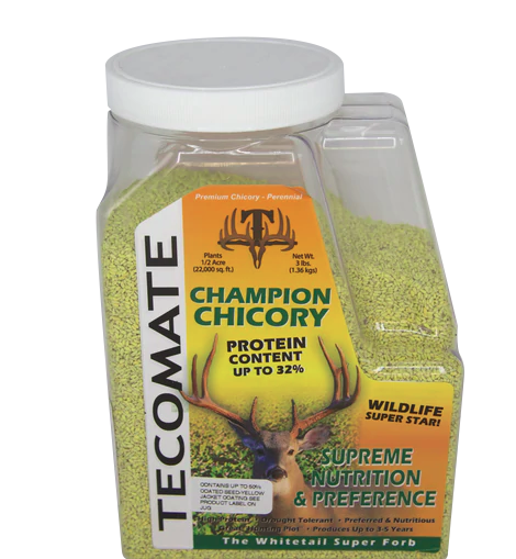 Champion Chicory — Deer Food Plot Seed